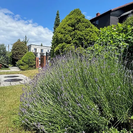 Barbara And Jastrzębia Góra