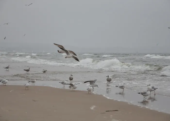 Barbara And Jastrzębia Góra